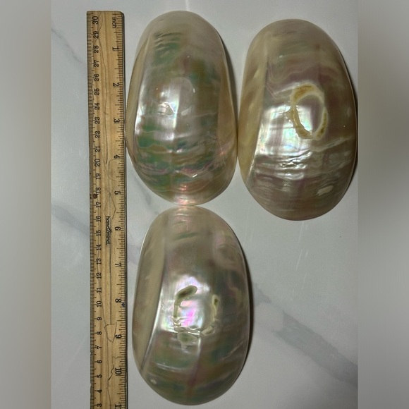 Iridescent Shell Decor Set - Picture 4 of 4